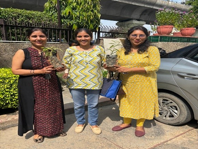 NSS planting tree saplings