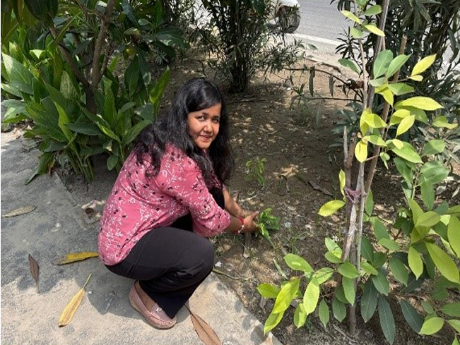 volunteers watering plants