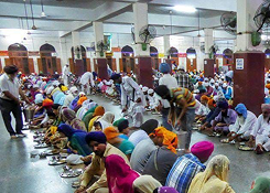 midnight orchid event stage