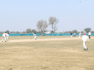Cricket Tournment 