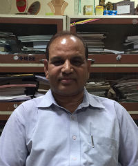 Prof. Alok Prakash Mittal